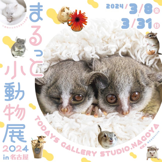 2023年 3月イベント出展情報